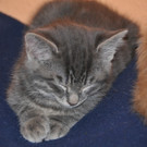 DSC_2057.JPG