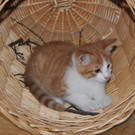 DSC_2067.JPG