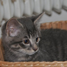 DSC_2071.JPG