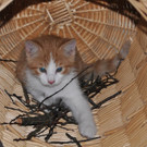 DSC_2069.JPG
