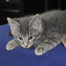 DSC_2074.JPG