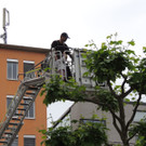 DSCN8103_JPG-1371300772