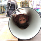 DSCN8114_JPG-1371300790