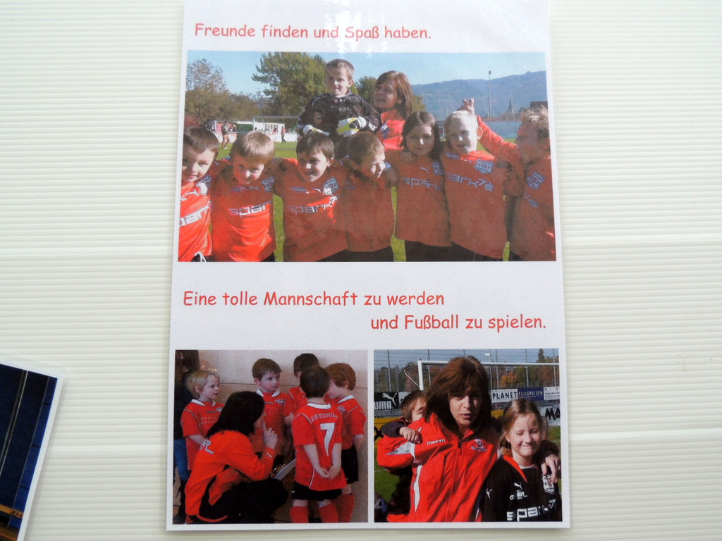 DSCN8063_JPG-1371301176