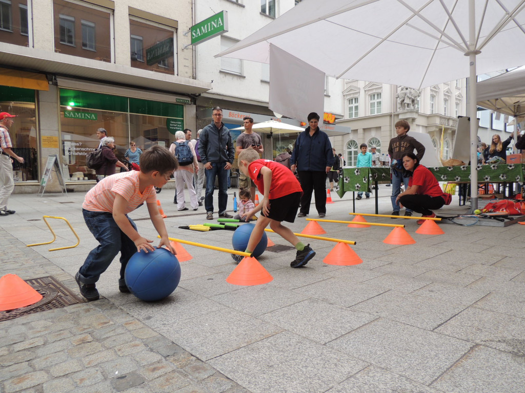 DSCN8057_JPG-1371301151