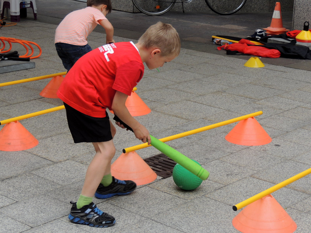 DSCN8070_JPG-1371301204