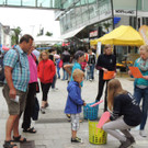 DSCN8089_JPG-1371301260