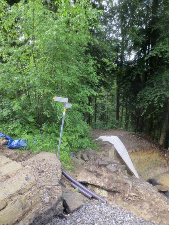 Eichenberger Stra__e  L 11 Schaden 2013 _15__jpg-1371313307