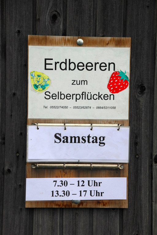 BK_150613_Erdbeerenpfl__cken Koblach 4_jpg-1371329917