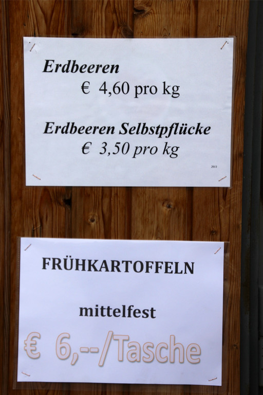 BK_150613_Erdbeerenpfl__cken Koblach 5_jpg-1371329943