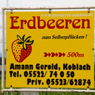 BK_150613_Erdbeerenpfl__cken Koblach_jpg-1371330572