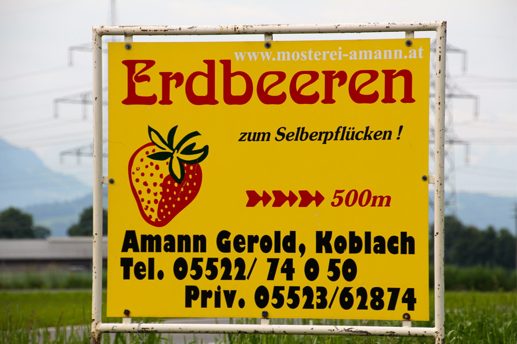 BK_150613_Erdbeerenpfl__cken Koblach_jpg-1371330572