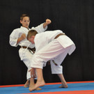 karate_jpg-1371333296