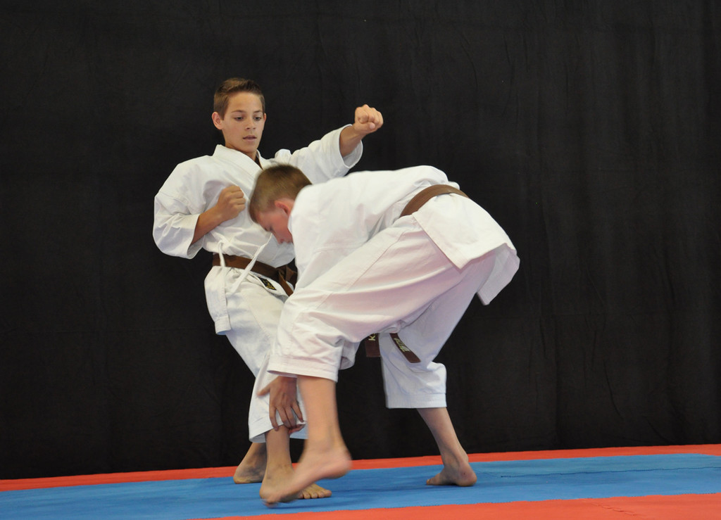karate_jpg-1371333296