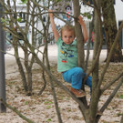 DSCN8017_JPG-1371334491