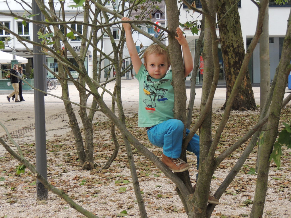 DSCN8017_JPG-1371334491