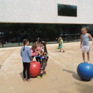 DSCN8287_JPG-1371334554