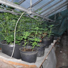 p51606-Foto-6.jpg