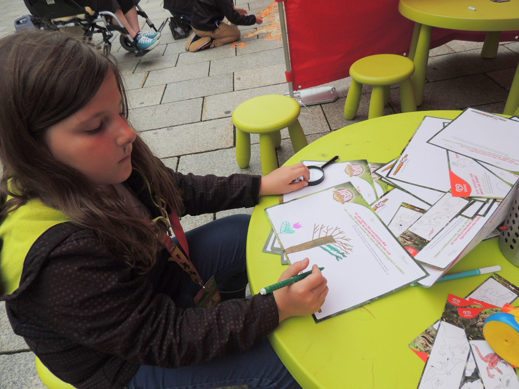 DSCN8183_JPG-1371384538