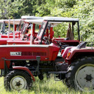 d16fXIII012.jpg