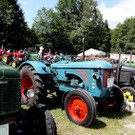 d16fXIII056.jpg