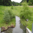 13_JPG-1371390192