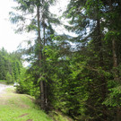 160613vuoldtimerat04003aktivnews0010.JPG