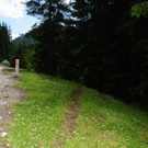 160613vuoldtimerat04003aktivnews0006.JPG