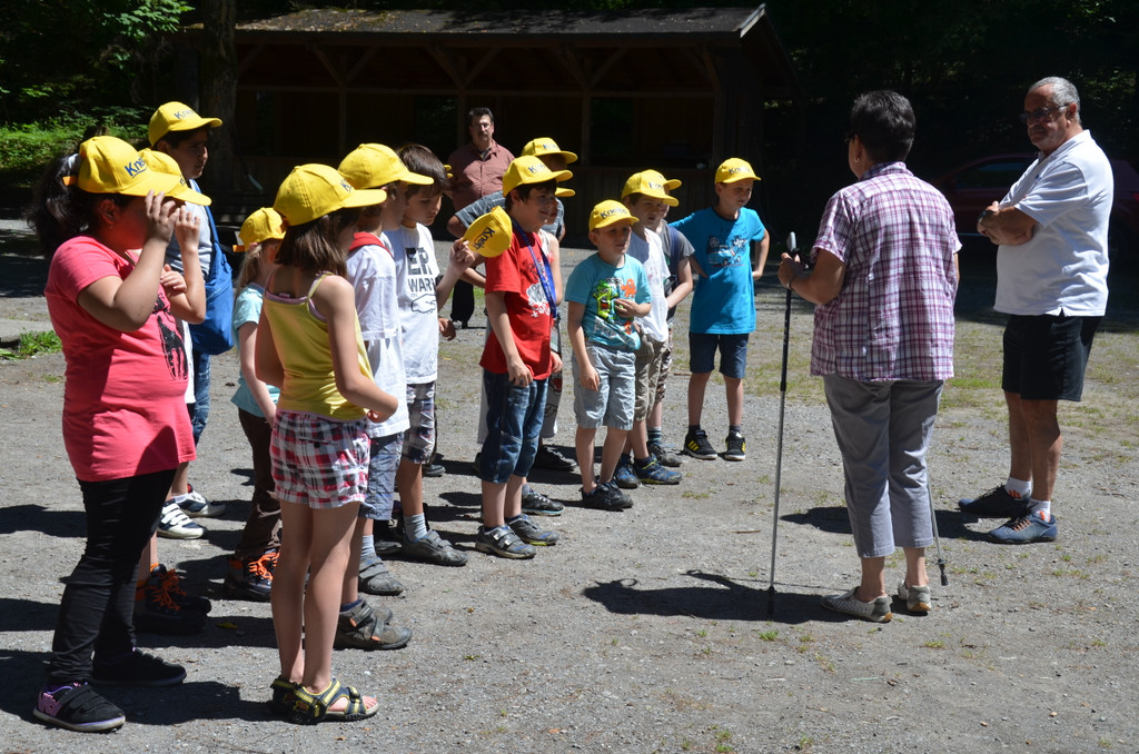 DSC_1650_JPG-1371394828