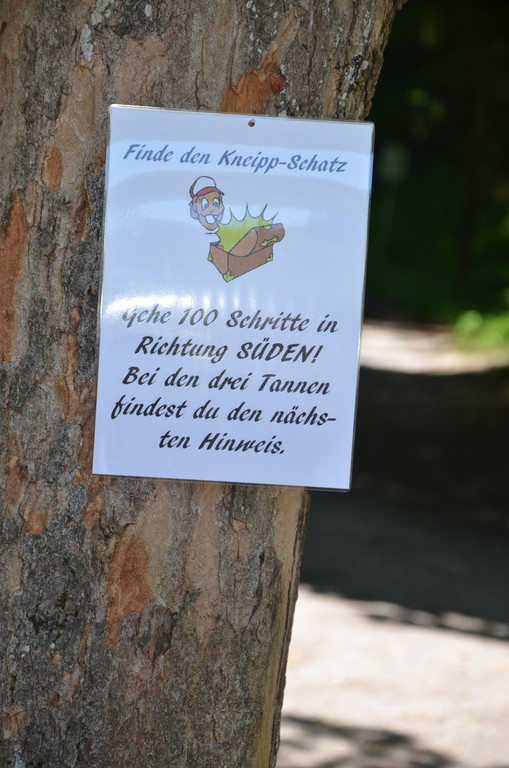 DSC_1652_JPG-1371394843