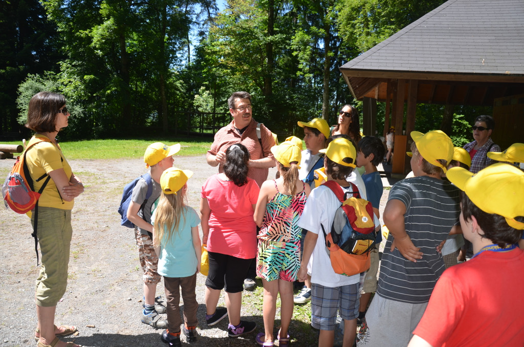 DSC_1654_JPG-1371394860