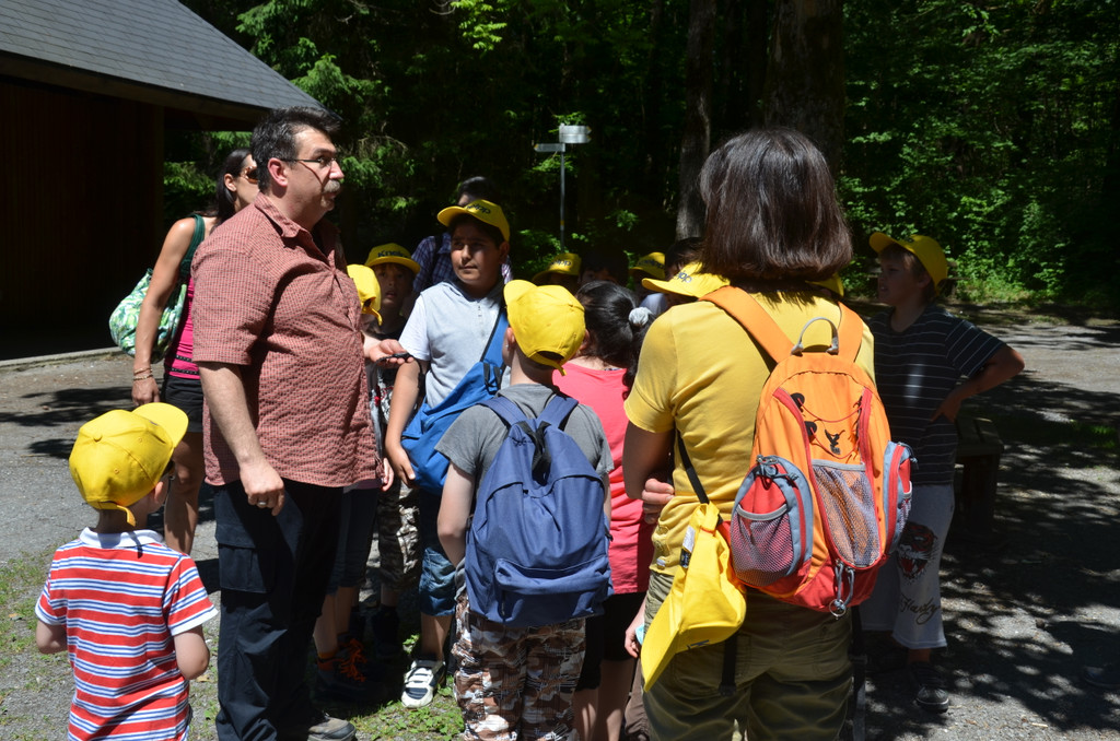 DSC_1655_JPG-1371394875