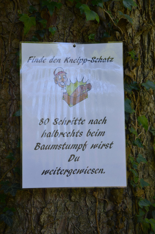 DSC_1663_JPG-1371394889