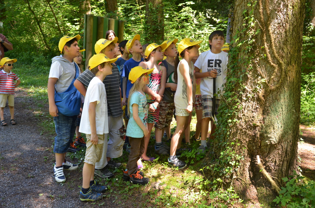 DSC_1665_JPG-1371394908