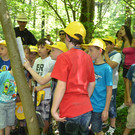 DSC_1671_JPG-1371394926