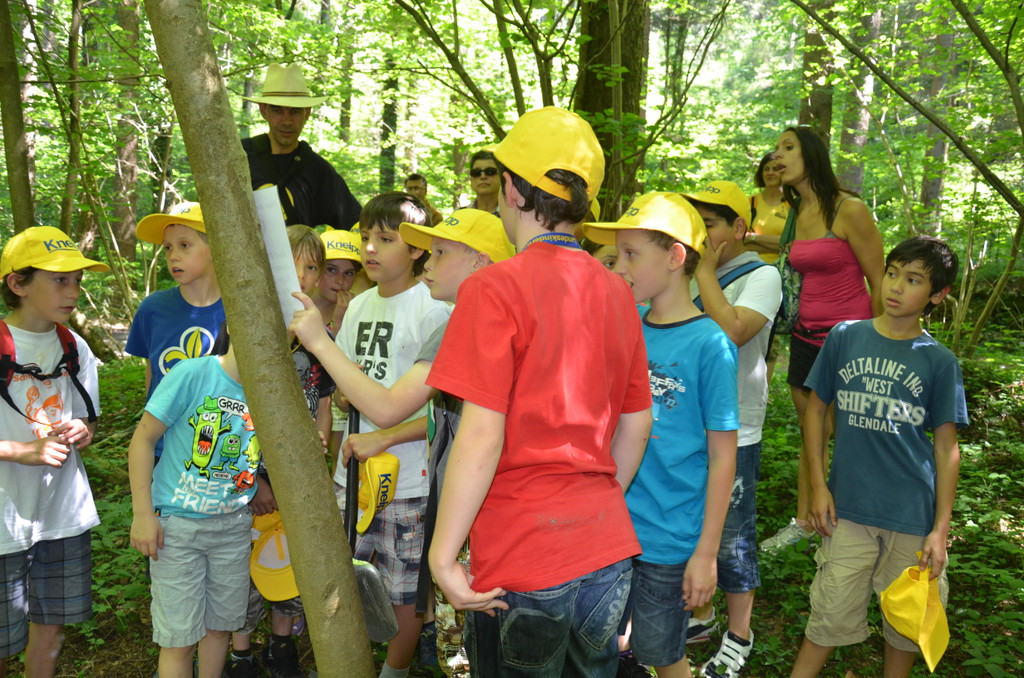 DSC_1671_JPG-1371394926