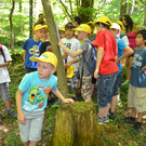 DSC_1672_JPG-1371394946