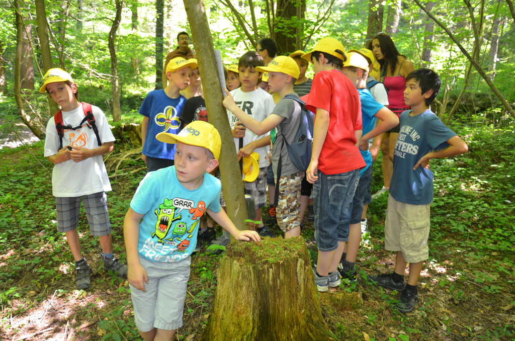 DSC_1672_JPG-1371394946