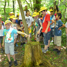 DSC_1673_JPG-1371394967