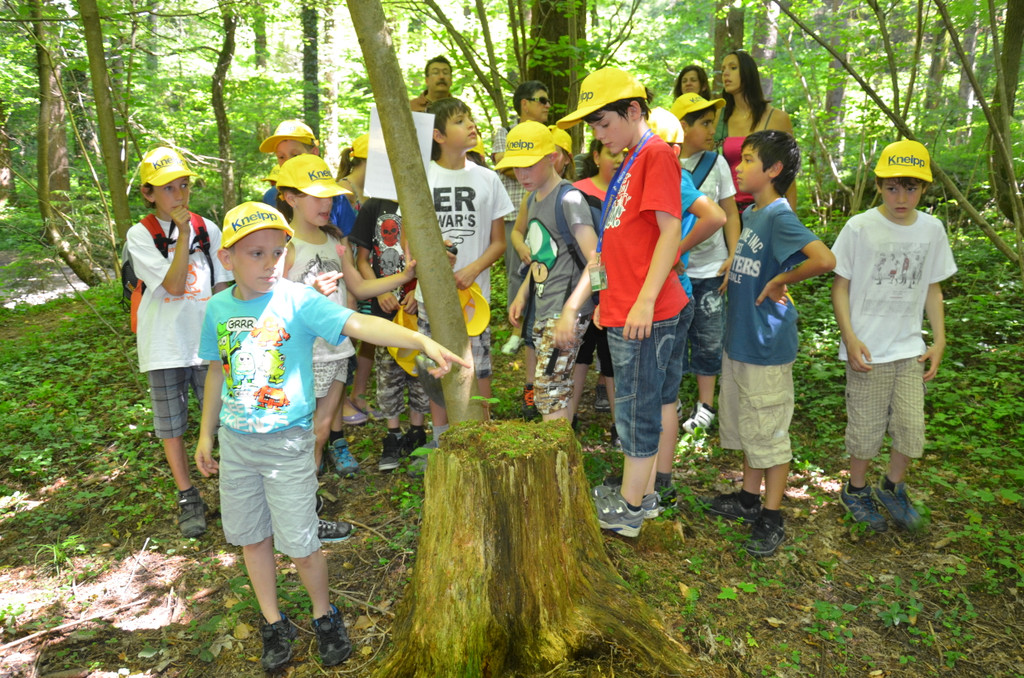 DSC_1673_JPG-1371394967