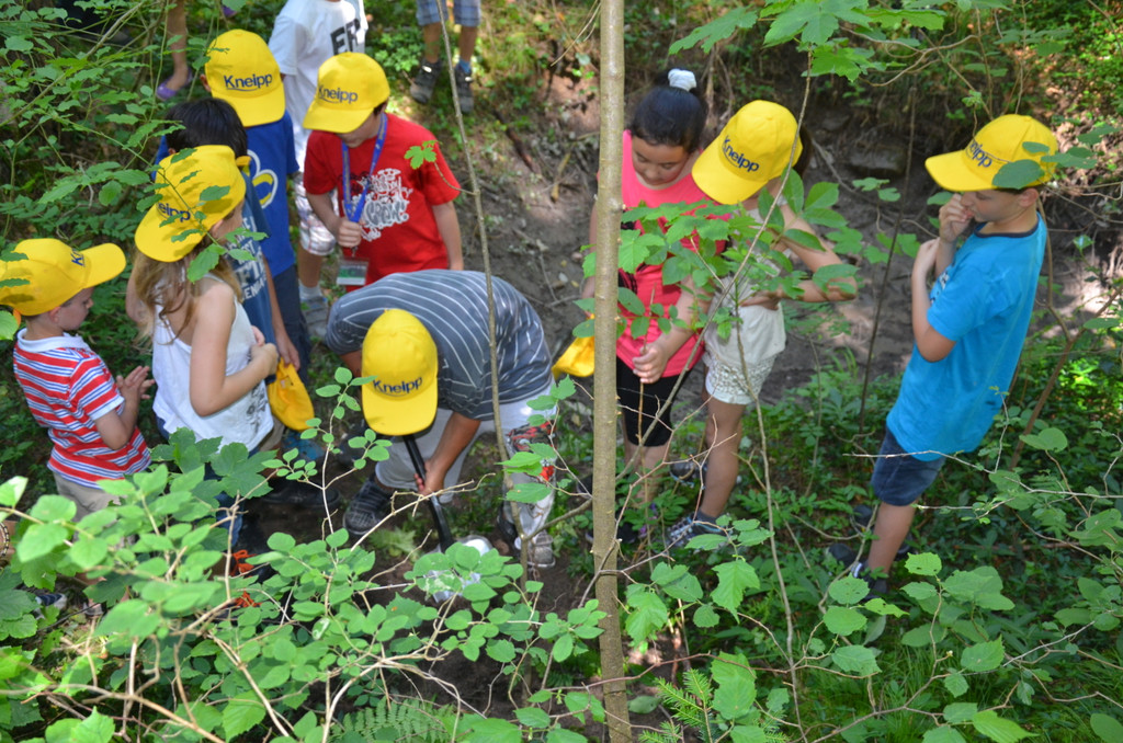 DSC_1679_JPG-1371394986