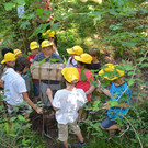 DSC_1683_JPG-1371395045