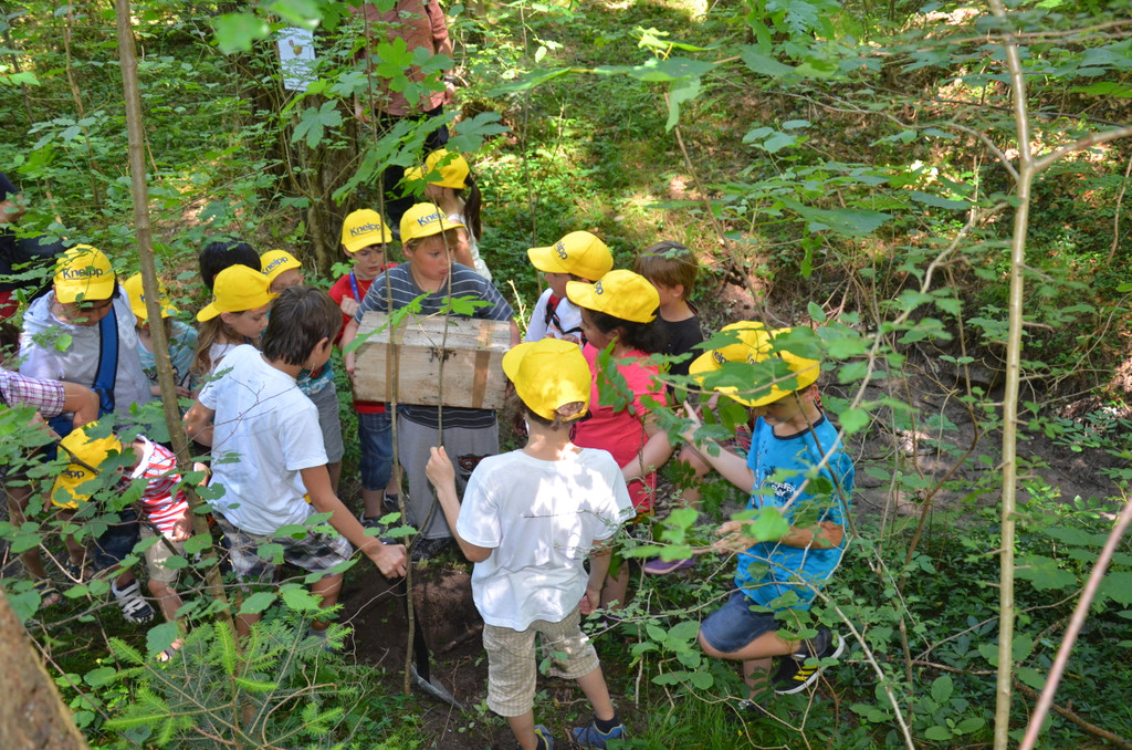 DSC_1683_JPG-1371395045