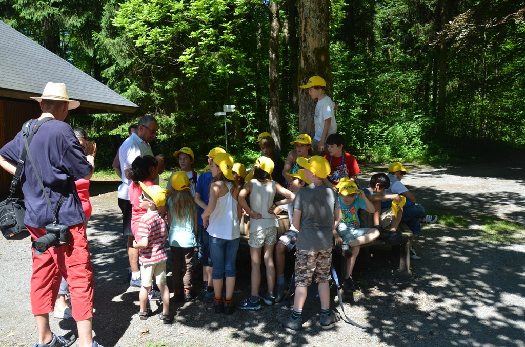 DSC_1696_JPG-1371395127