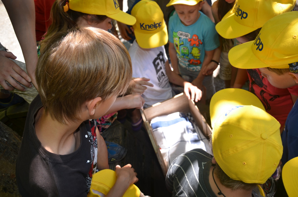 DSC_1697_JPG-1371395140