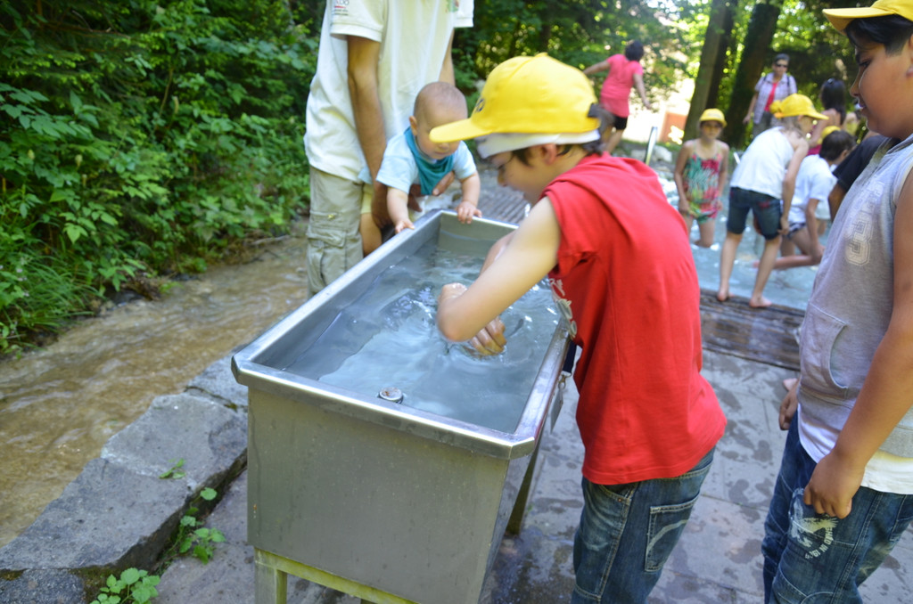 DSC_1765_JPG-1371395670