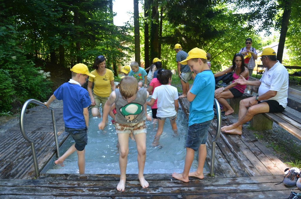 DSC_1771_JPG-1371395717