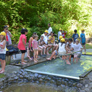 DSC_1775_JPG-1371395753