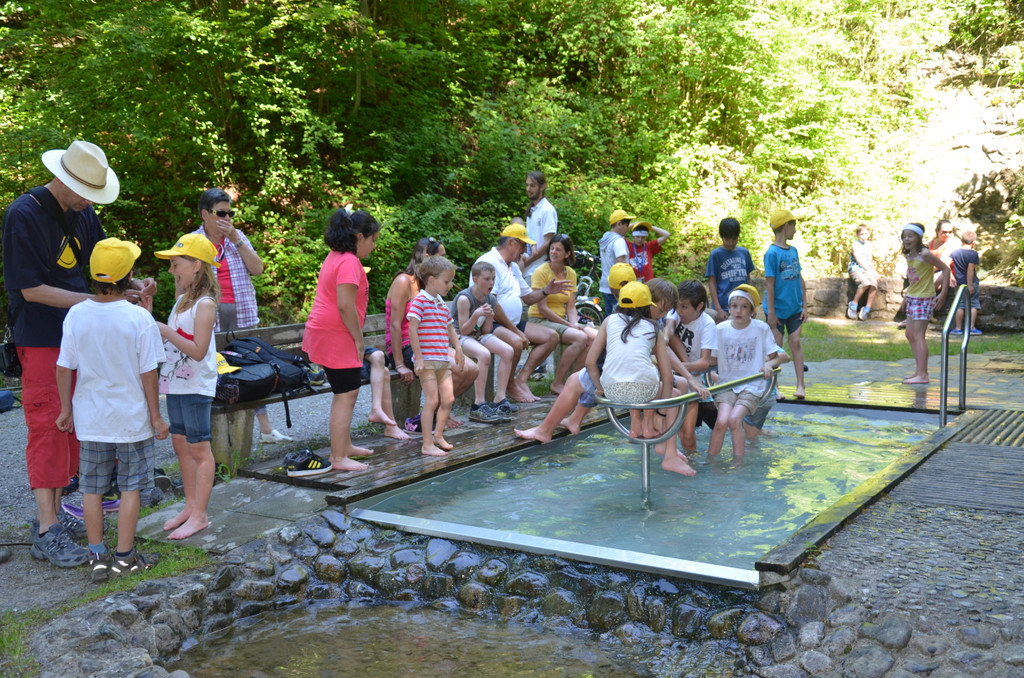 DSC_1775_JPG-1371395753