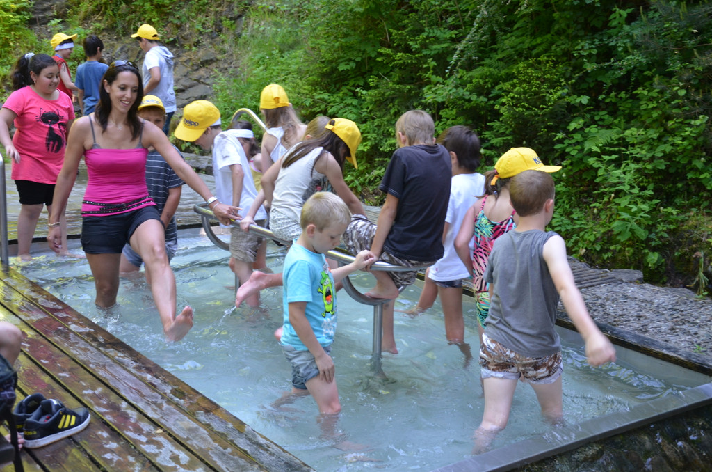 DSC_1780_JPG-1371395786